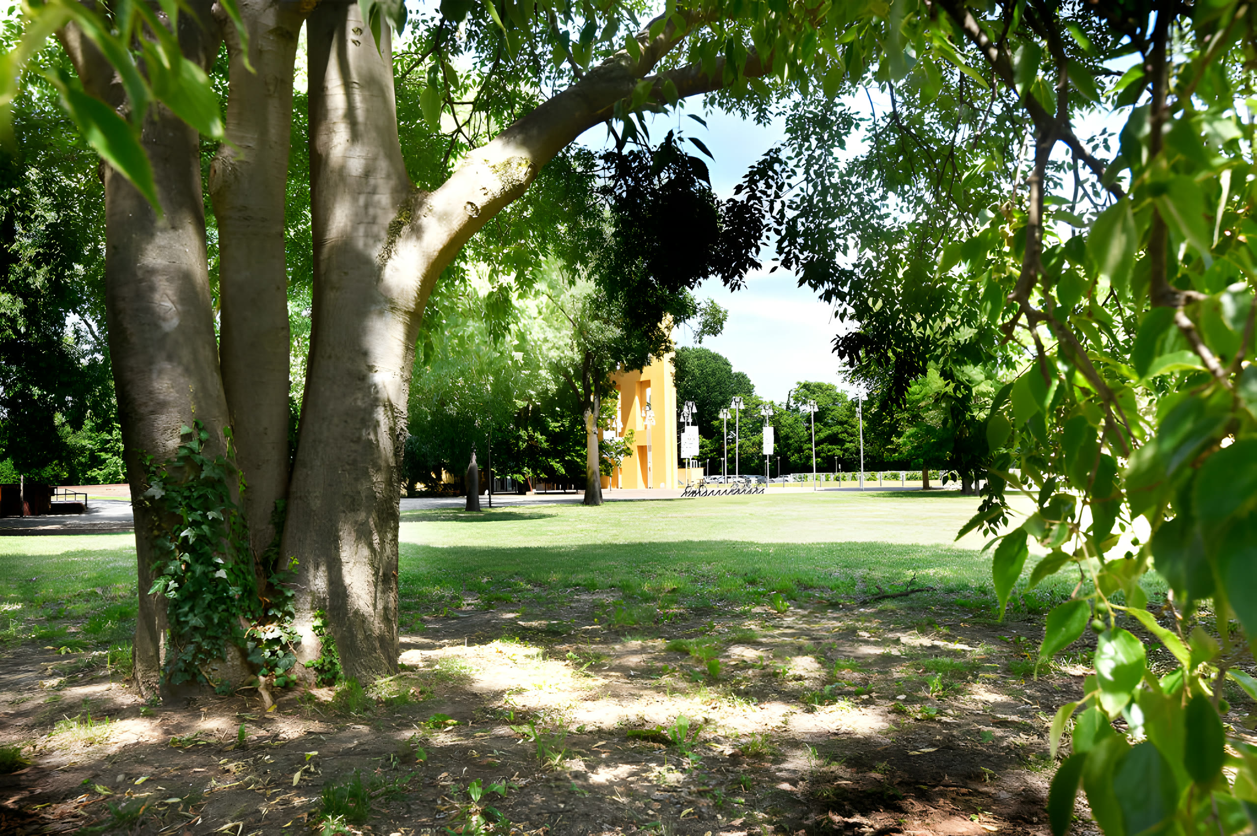 Il Parco della Musica, scorcio del verde &mdash; immagine 6