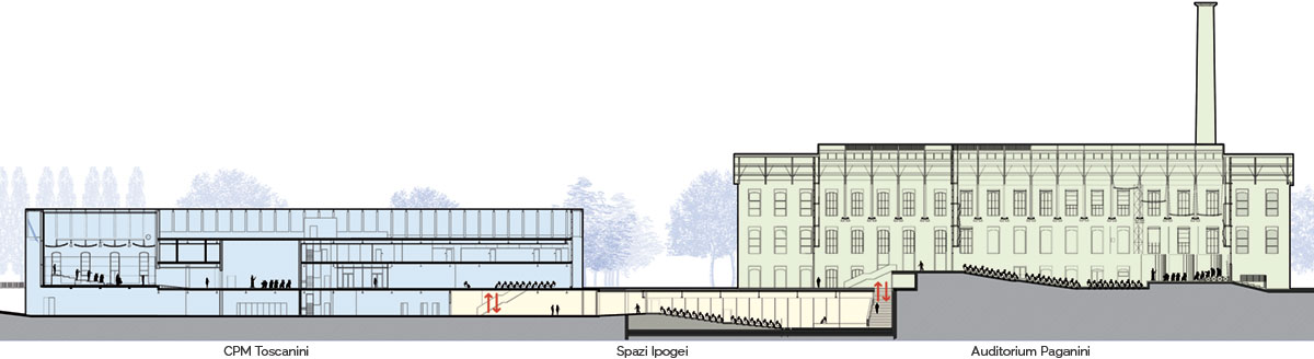Cross-section of the complex